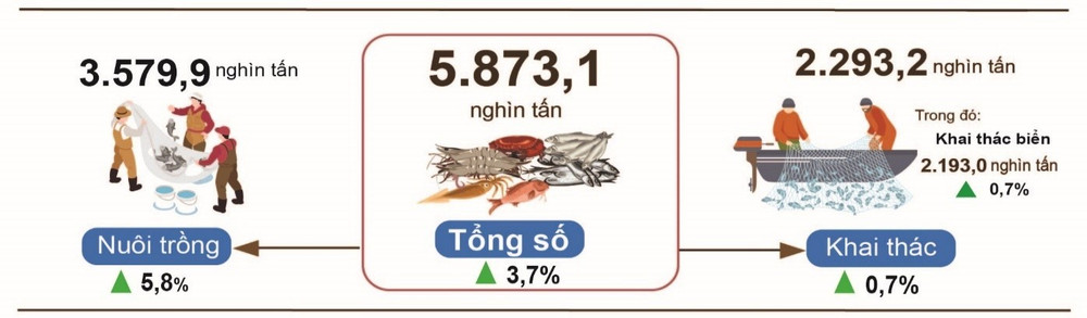 Sản lượng thủy sản 7 tháng năm 2026 so với cùng kỳ năm 2025. (Nguồn: Cục Thống kê)