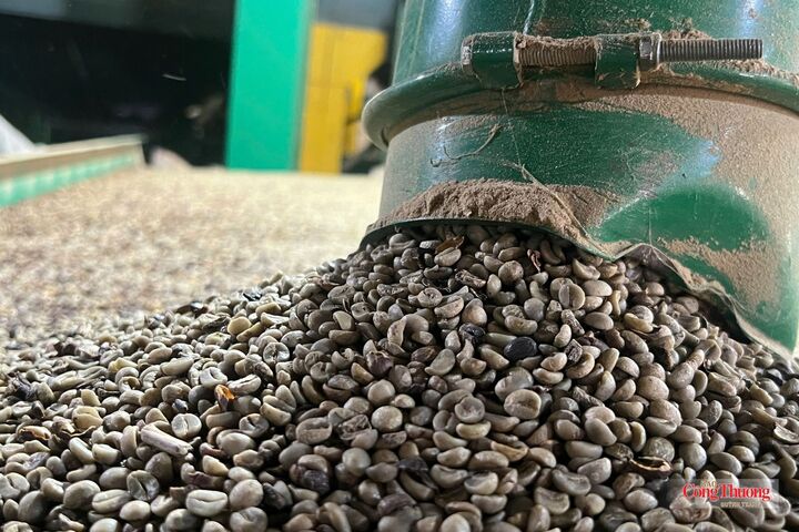 Một góc xưởng sản xuất, chế biến cà phê của Công ty TNHH Sản xuất và Thương mại Cát Quế,