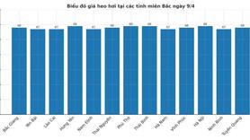 Giá heo hơi hôm nay 9/4/2025: Biến động trái chiều