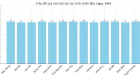 Giá heo hơi hôm nay 14/4/2025: Miền Nam tăng giá