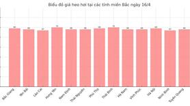 Giá heo hơi hôm nay 16/4/2025: Đồng loạt tăng giá