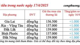 Giá tiêu hôm nay 17/4/2025, trong nước duy trì mức tăng