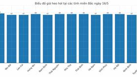 Giá heo hơi hôm nay 16/5/2025: Miền Nam tăng nhẹ