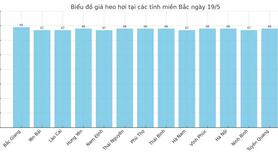Giá heo hơi hôm nay 19/5/2025: Miền Trung, miền Nam giảm nhẹ