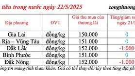 Giá tiêu hôm nay 22/5/2025: thị trường neo ở mức cao