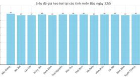 Giá heo hơi hôm nay 22/5/2025: Tăng nhẹ tại miền Nam