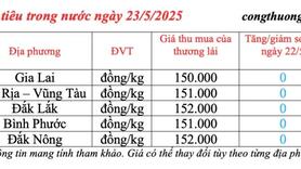 Giá tiêu hôm nay 23/5/2025: thị trường cao nhất 152.000 đồng/kg