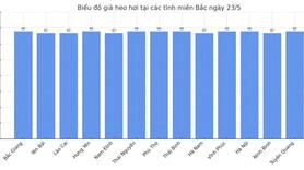 Giá heo hơi hôm nay 23/5/2025: Miền Bắc quay đầu giảm nhẹ