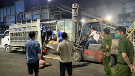 Vĩnh Phúc xử lý hơn 1 tấn thịt lợn không đảm bảo an toàn thực phẩm