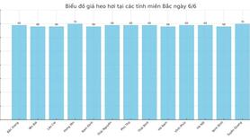 Giá heo hơi hôm nay 6/6/2025: Giữ mặt bằng giá cao