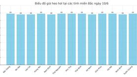 Giá heo hơi hôm nay 10/6/2025: Giảm nhẹ tại miền Trung