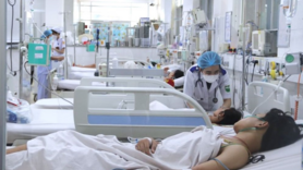 Phòng, chống sốt xuất huyết đầu mùa mưa