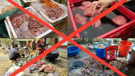 "Bốn không" với thực phẩm bẩn