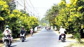 Ngành Công Thương Đồng Nai: Động lực thúc đẩy nông thôn mới nâng cao, kiểu mẫu