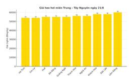Giá heo hơi hôm nay 21/8/2025: Giảm trên toàn quốc