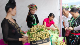 Sơn La tiếp tục mở rộng thị trường cho nông sản và thực phẩm an toàn