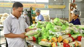 Phú Thọ: Thúc đẩy tiêu thụ nông sản, nâng tầm đặc sản địa phương