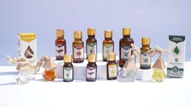 Vinasamex và hành trình đưa quế hồi Việt Nam vươn ra thế giới
