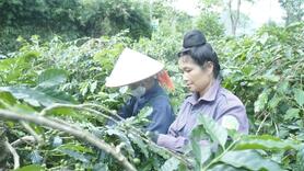 Tăng 10-15% nguồn lực cho Chương trình dân tộc thiểu số và miền núi