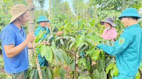 Đắk Lắk phát huy hào khí Cách mạng Tháng Tám, bứt phá trong kỷ nguyên mới