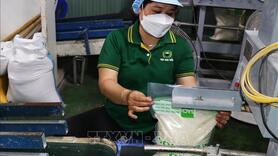 Bản tin nông sản hôm nay (28-8): Giá cà phê tăng mạnh