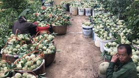 Na Cai Kinh giúp bà con vùng cao vươn lên thoát nghèo