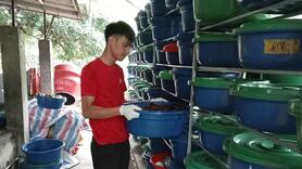 Nghề nuôi đuông dừa cho hiệu quả kinh tế cao