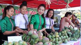 Kết nối văn hóa và chuỗi giá trị, mở rộng thị trường nông sản-thổ cẩm