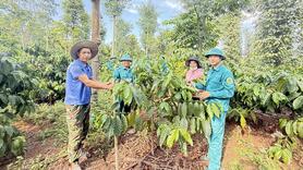 Đắk Phơi tạo đột phá trong giảm nghèo bền vững