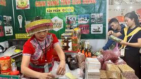 Nông sản Cao Bằng ghi dấu ấn tại Hội chợ mùa Thu lần thứ nhất - 2025