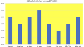 Giá heo hơi hôm nay 29/10/2025: Nhiều nơi giảm nhẹ