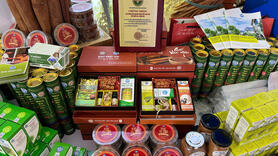 Tuyên Quang và Lào Cai tổ chức Lễ hội hoa Dã Quỳ, trà Shan Tuyết