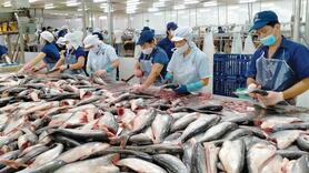Thủy sản Việt: Nắm chuẩn EU để mở rộng xuất khẩu