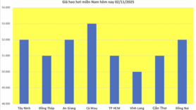 Giá heo hơi hôm nay 2/11/2025: Lặng sóng phiên cuối tuần