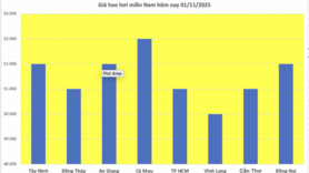 Giá heo hơi hôm nay 01/11/2025: Giảm nhẹ tại miền Bắc, miền Trung