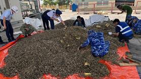 Thu giữ, điều tra vụ tuồn lậu 25 tấn vỏ đạn quân dụng vào Việt Nam