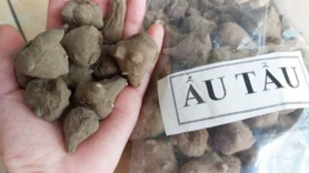 Tuyệt đối không sử dụng củ ấu tẩu khi chưa biết cách xử lý