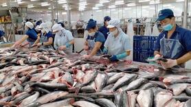 Xuất khẩu cá tra cuối năm: Cơ hội lớn từ CPTPP và Trung Đông