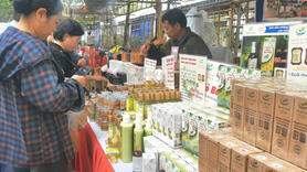 Hà Nội thúc đẩy OCOP, xây dựng nông thôn mới bền vững