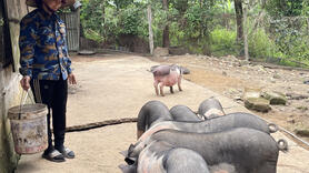 Mỗi sản phẩm OCOP là một "đại sứ" vùng miền