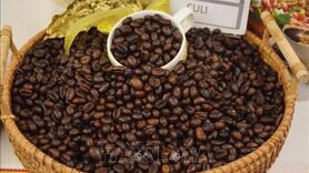 Bản tin nông sản hôm nay (6-12): Giá cà phê trong khoảng 102.800 - 103.500 đồng/kg