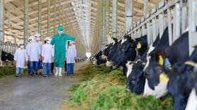 Thị trường nội địa quyết định sức bật của ngành chăn nuôi