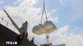 Việt Nam xuất khẩu được hơn 8 triệu tấn gạo