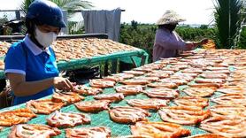 Thư về tòa soạn: Làng nghề hối hả vào vụ Tết Nguyên đán