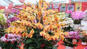 Hà Nội: Hội chợ Xuân Bính Ngọ diễn ra từ 7-14 tháng 2