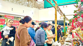 Đưa sản phẩm vùng cao Lai Châu vào mạch thị trường lớn