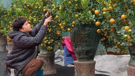 Hội chợ hoa xuân phường Long Biên