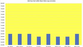 Giá heo hơi hôm nay 6/3/2026: Tiếp tục giảm nhiều nơi