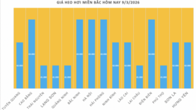 Giá heo hơi hôm nay 9/3/2026: Đang trên đà giảm