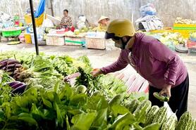 Mùa mưa: giá rau tăng, sản lượng giảm